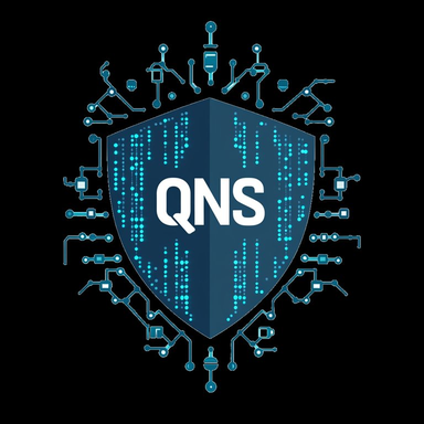 QNS Logo